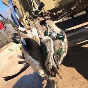 Meet your Posher, Aaron